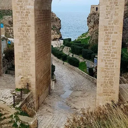 A Due Passi Dal Mare Locazione Turistica Appartement